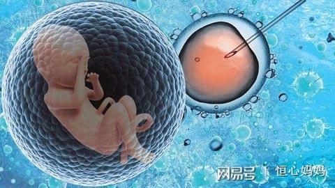 包生男孩公司